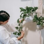 artificial plants design insights