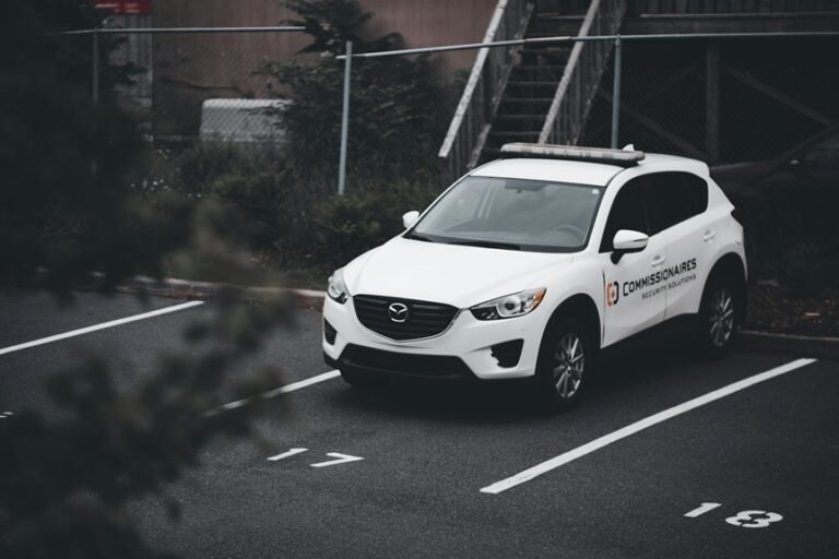 car alarm security insights