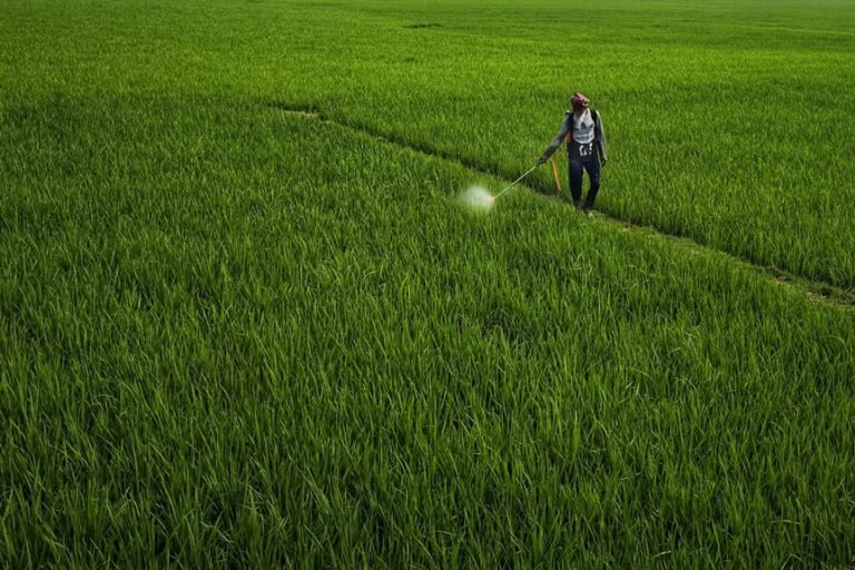 garden weed control methods